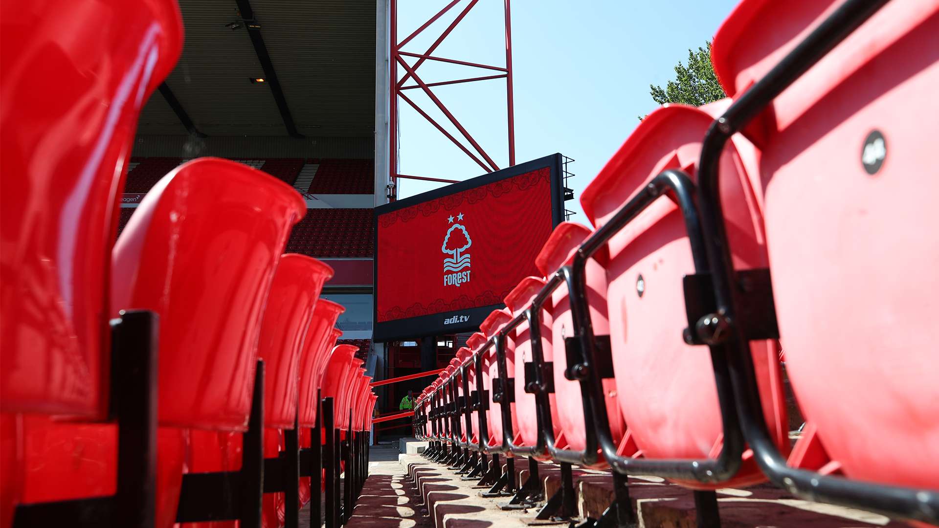 色与反响 色与反响